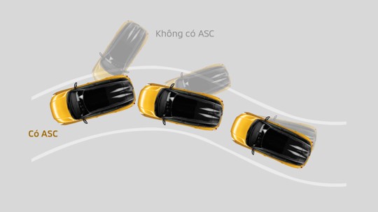 Hệ thống AYC